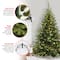 6ft. Pre-Lit Kincaid Spruce Full Artificial Christmas Tree, Clear Lights